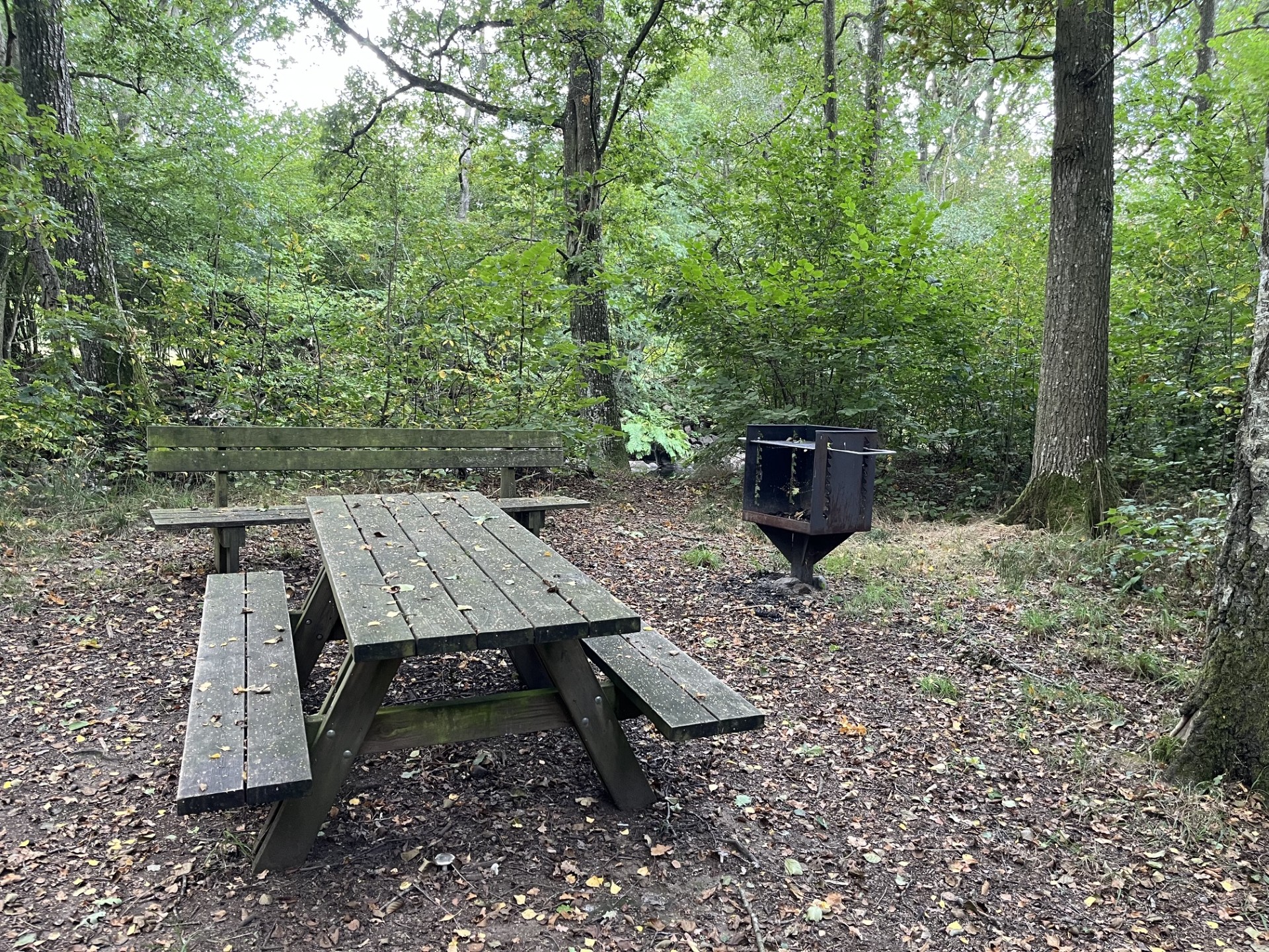 Rastplats med grill vid ån i "Paradiset"