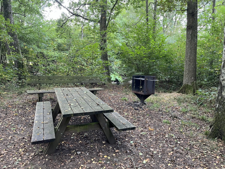 Rastplats med grill vid ån i "Paradiset"