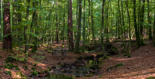 Guddehjälm, Naturreservat