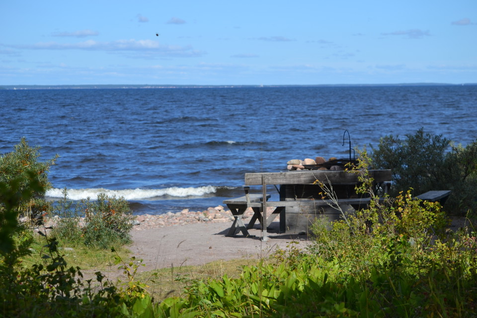 En rastplats med bänkar på stranden intill havet.