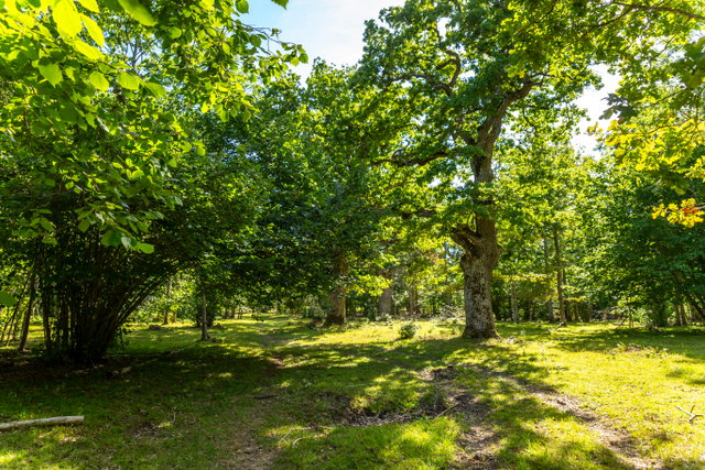 Naturstig, Klosteränge