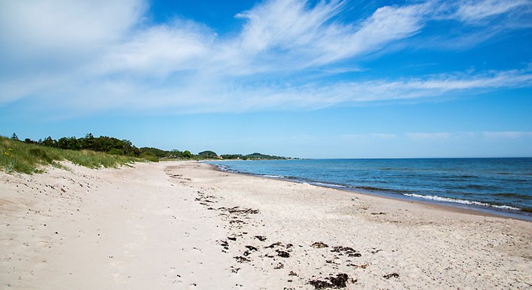 Sandstrand på sydkusten.