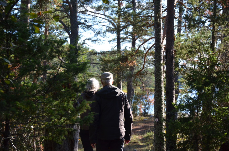 En kvinna och en man vandrar i tallskog.