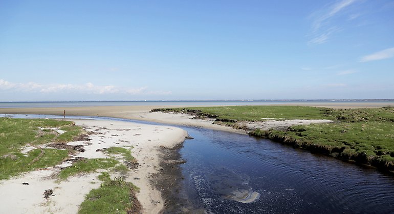 Ån Bredaväg mynnar ut i havet i Skanör-Höll.