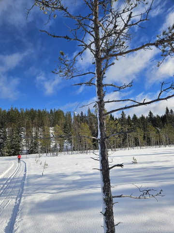 Långmyrans längsskidspår