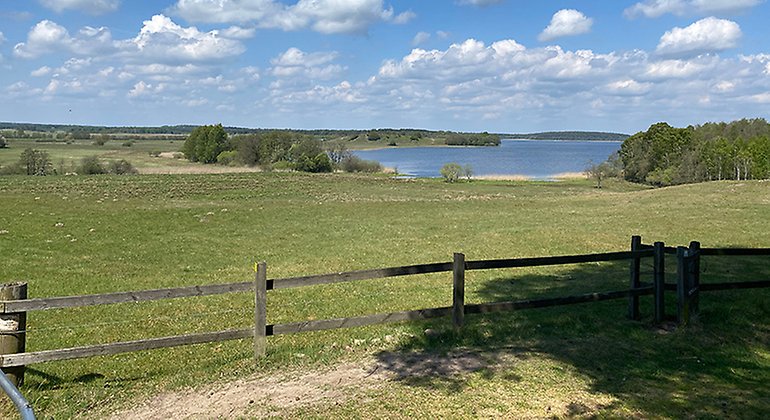 Utsikt över böljande betesmarker och Sövdesjön.
