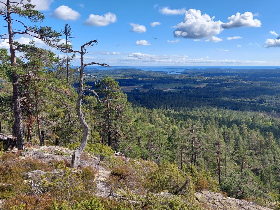 Vy från Ängaåsen.