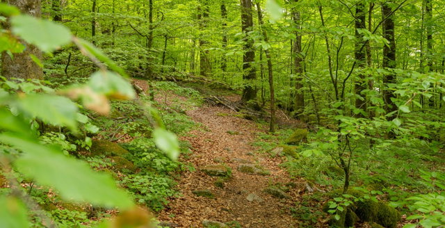 Stoms ås, Naturreservat