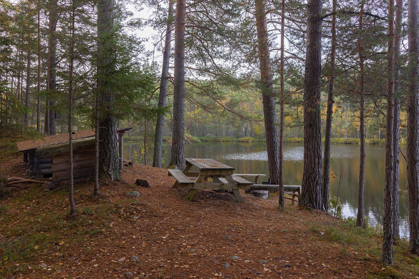 Vindskyddet vid Stora Bosagölen.