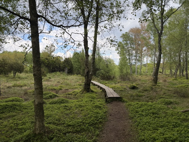 Skäretslingan