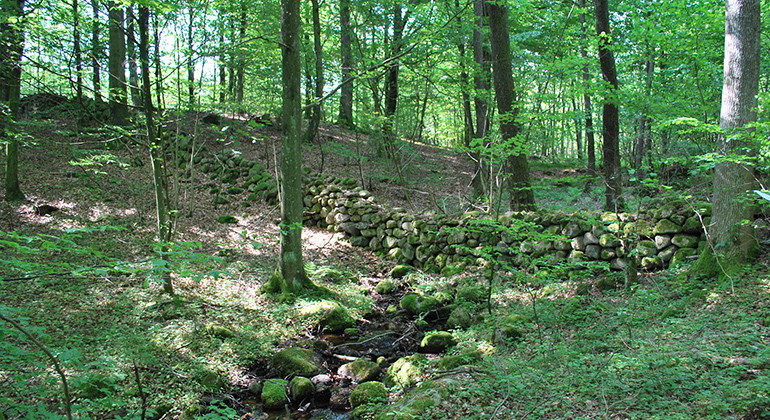 Stenmur i Olarp.
