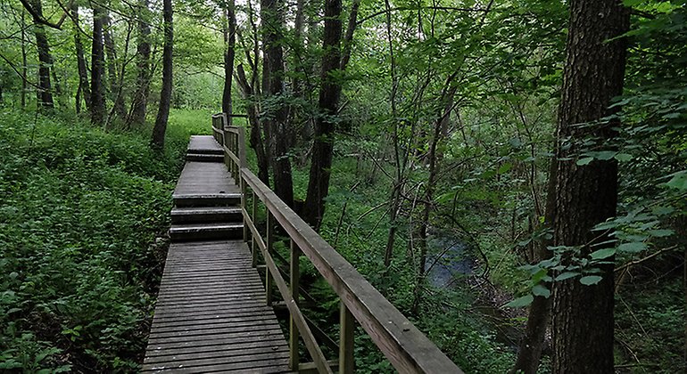 Spångad led i Skogsbacken med Väladalen.