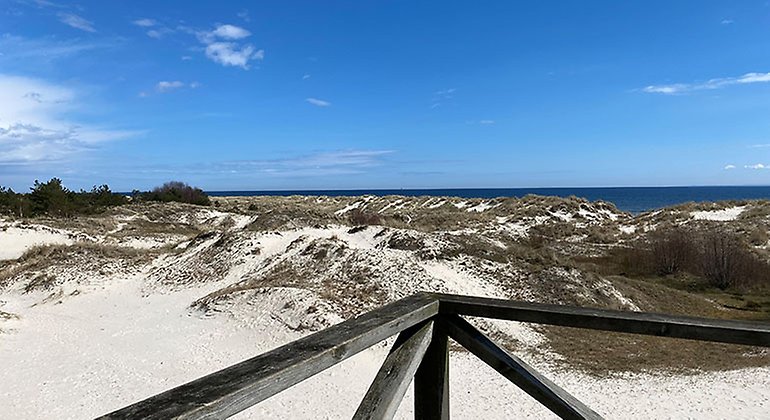 Vy över dynlandskapet från plattformen.