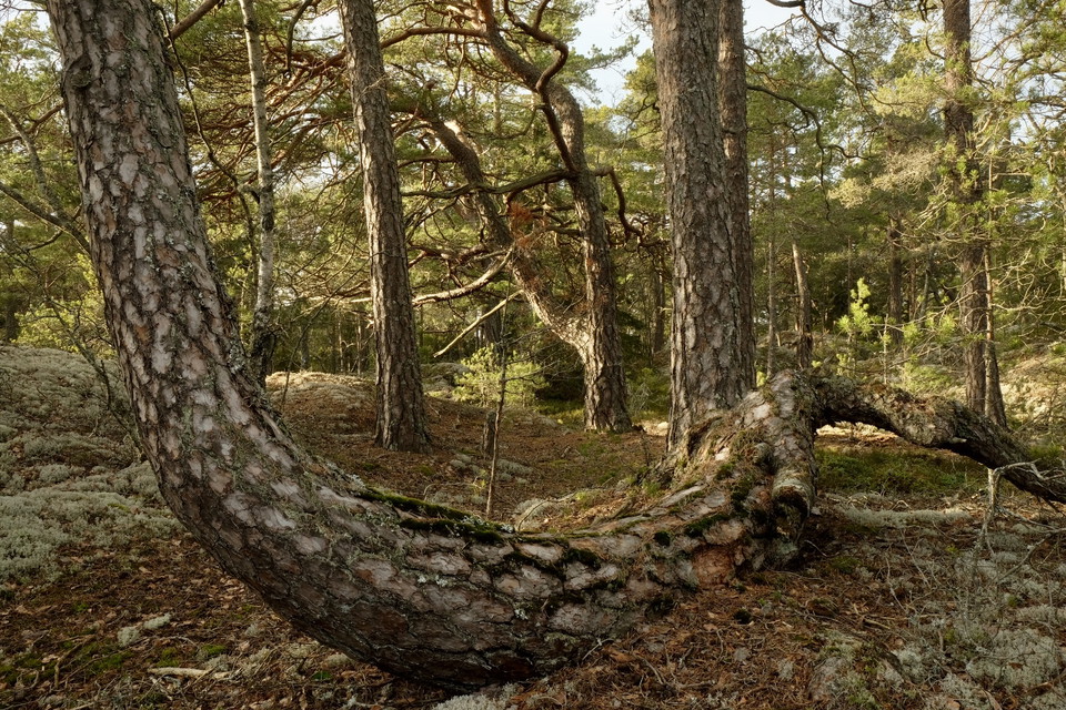 Botkyrka kommun Photo