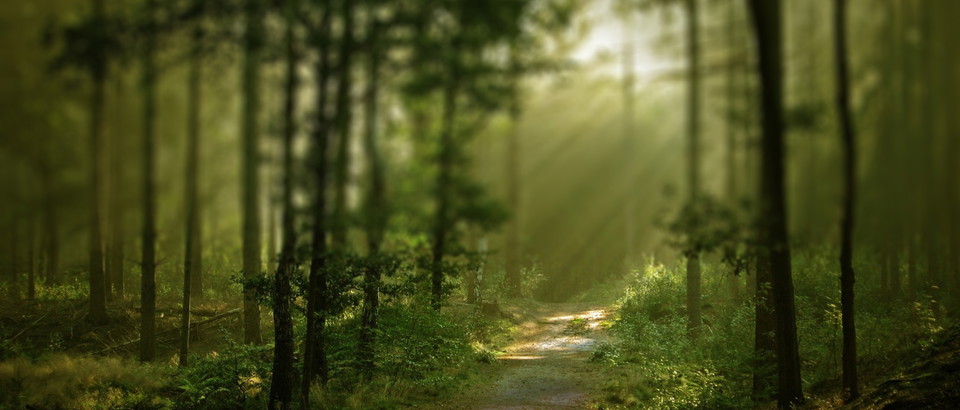 St Olav Rombo Way Photo