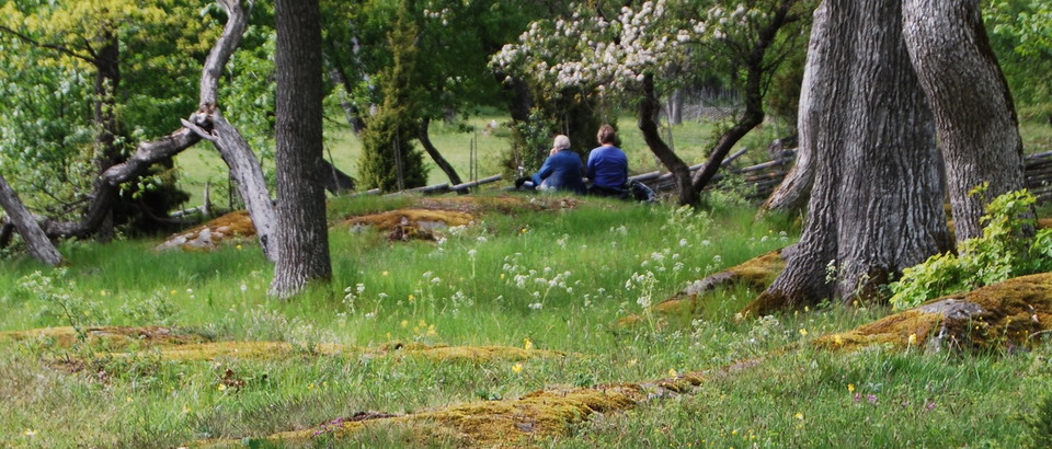 Nature reserves and National Parks in Stockholm County Photo
