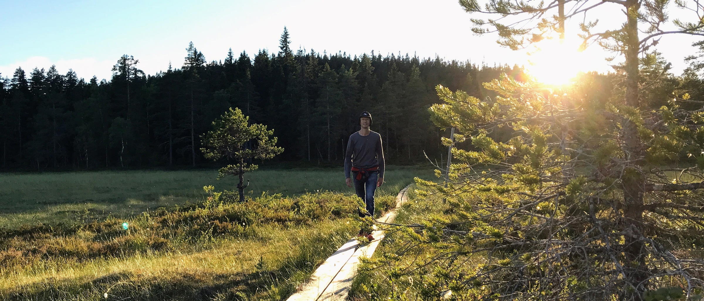 Säterdalen, Naturreservat — Naturkartan