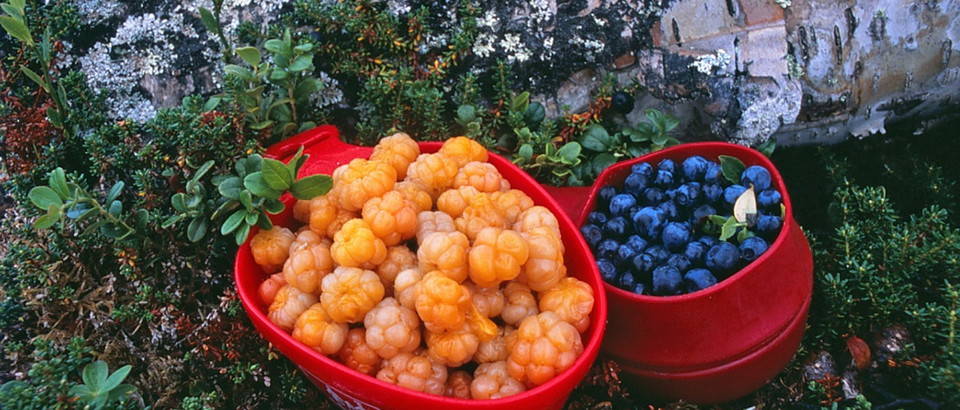 Länsstyrelsen Jämtlands län Photo