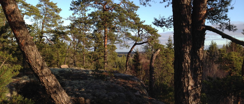 Upplands Väsby kommun Photo