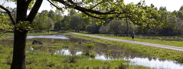 Örebro kommun