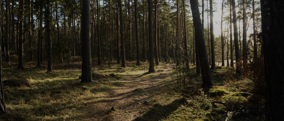 Hälsingeleden Photo