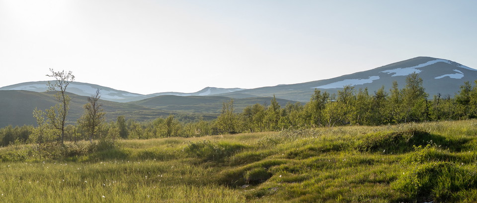 Tourist information Hemavan Tärnaby Photo