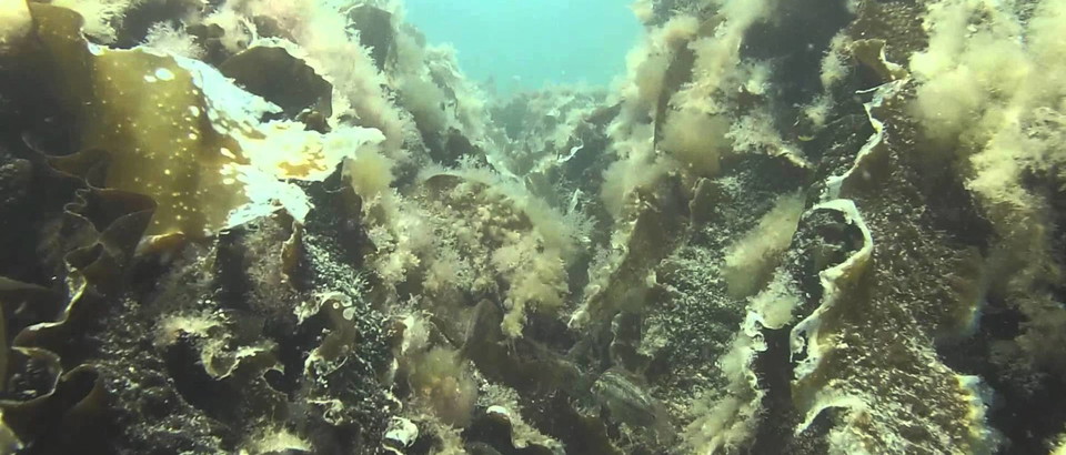 Undervattenskartan Photo