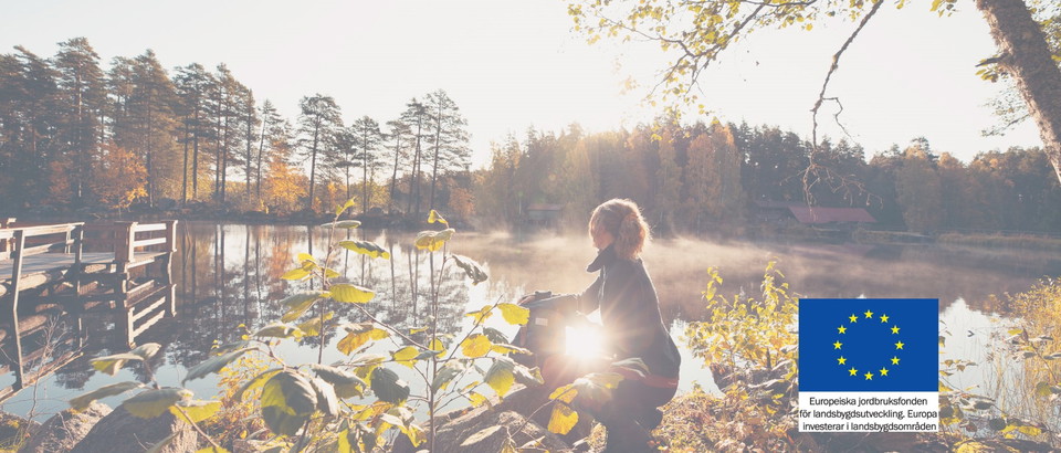 Vansbro kommun Photo