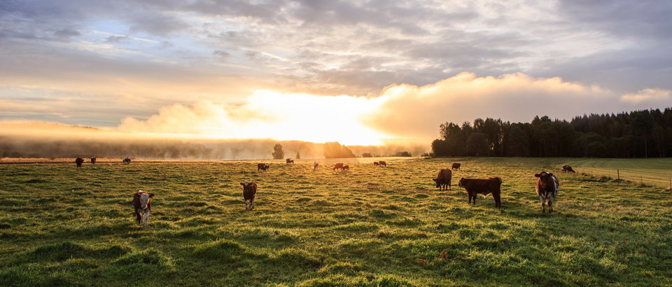 Länsstyrelsen Värmland Photo