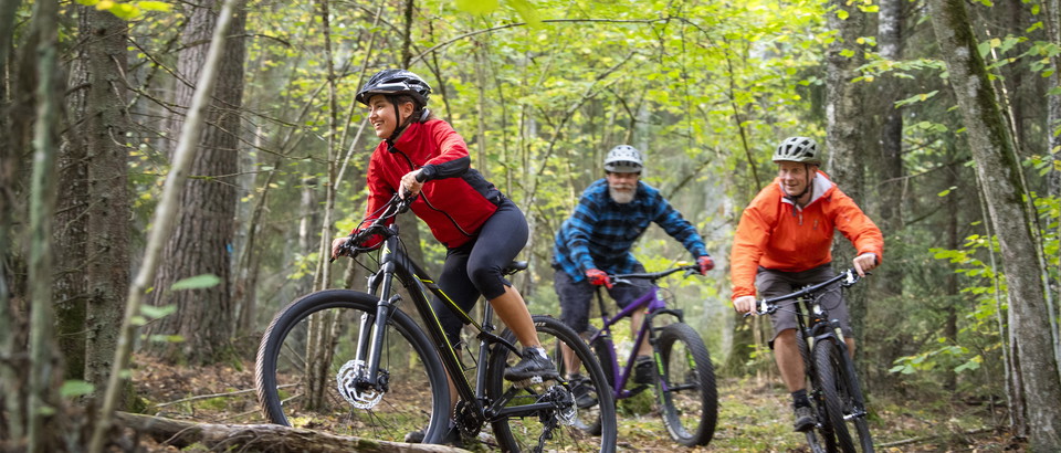 Trails of Västmanland Photo