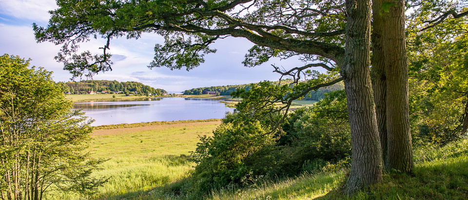 Länsstyrelsen i Blekinge län Photo