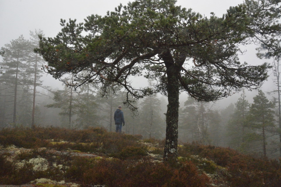 Länsstyrelsen Örebro län Photo