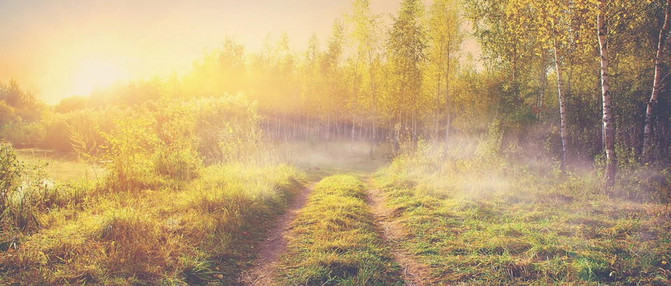 Uppvidinge municipality Photo