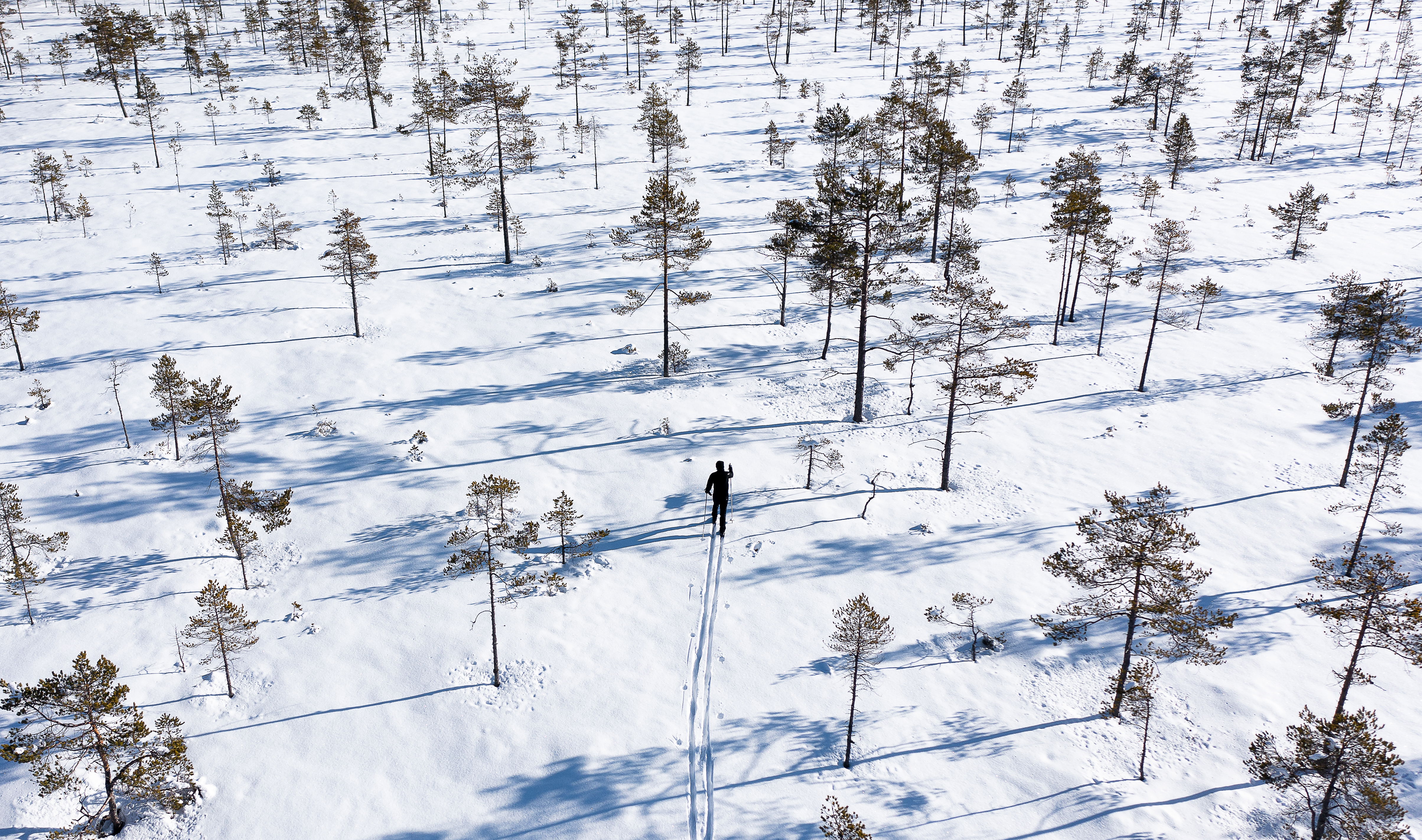 Biosfärområde Voxnadalen