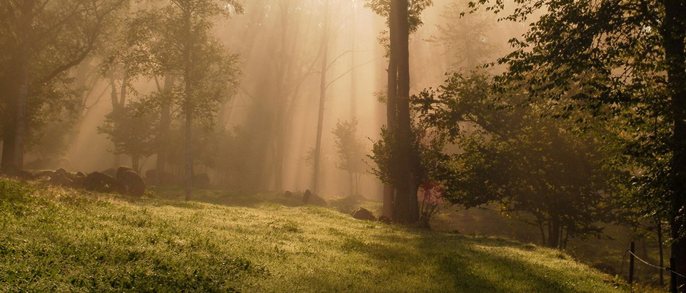 Vimmerby kommun Photo