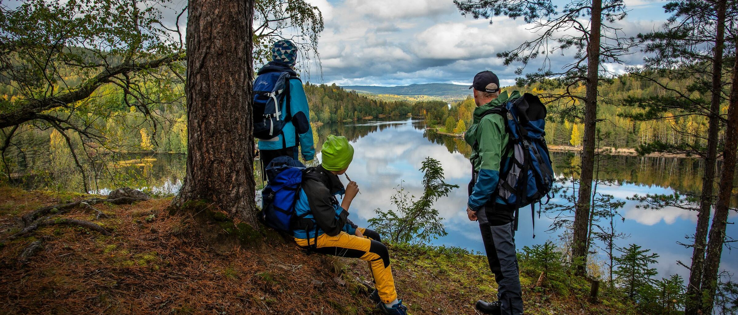 Sollefteå kommun