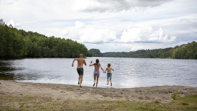Sollefteå kommun