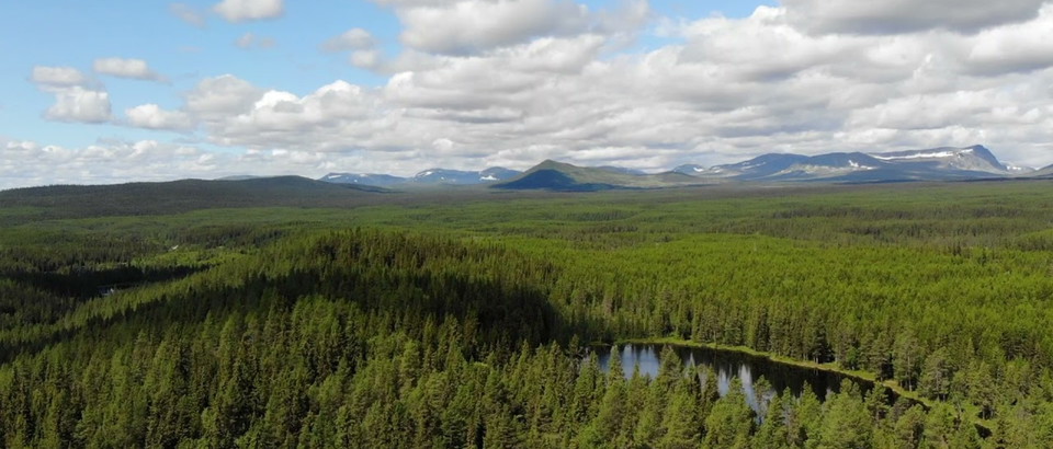 Vandra fjällnära Jämtland-Härjedalen Photo