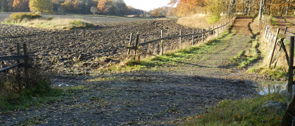 Haninge kommun Photo