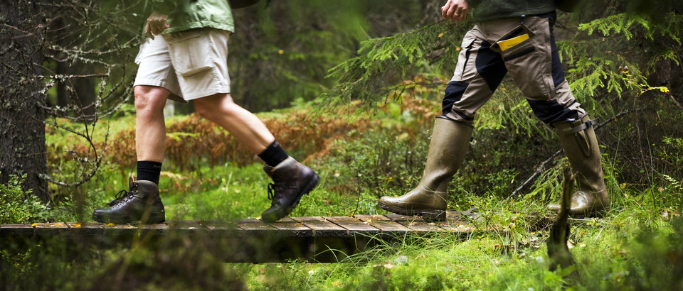 Hiking Värmland Photo
