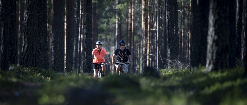 Biking Värmland Photo