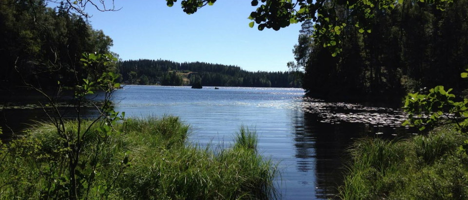 Svenljunga kommun Photo