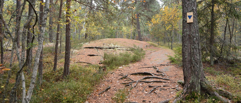 Danderyd kommun Photo