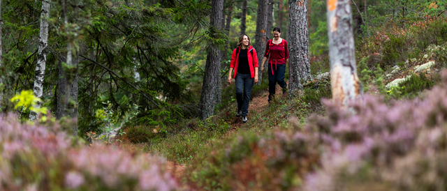 Gränsleden