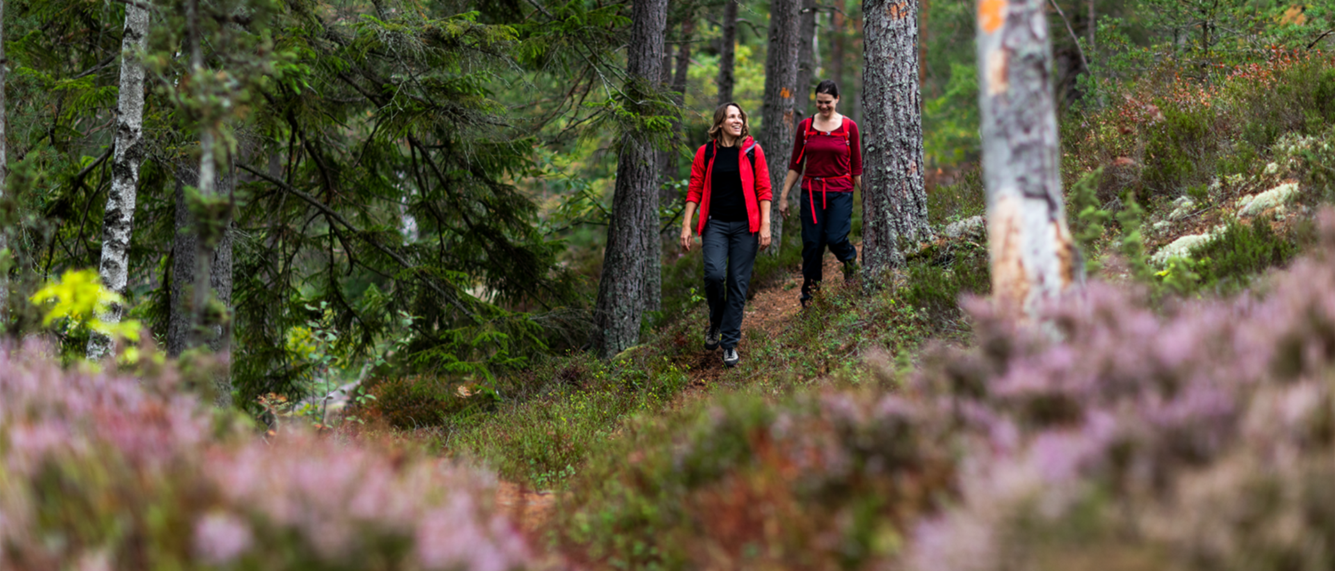 Gränsleden