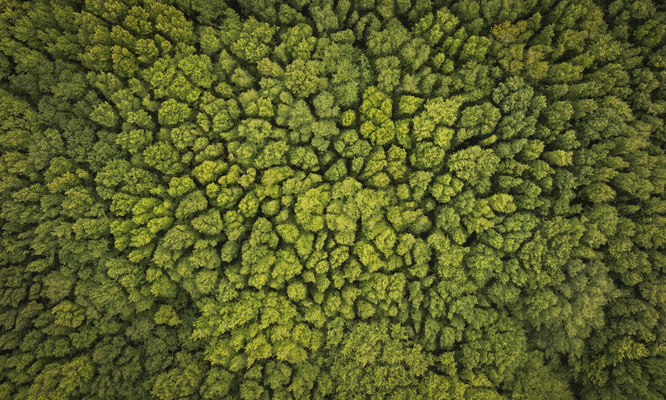 Sölvesborgs kommun Photo