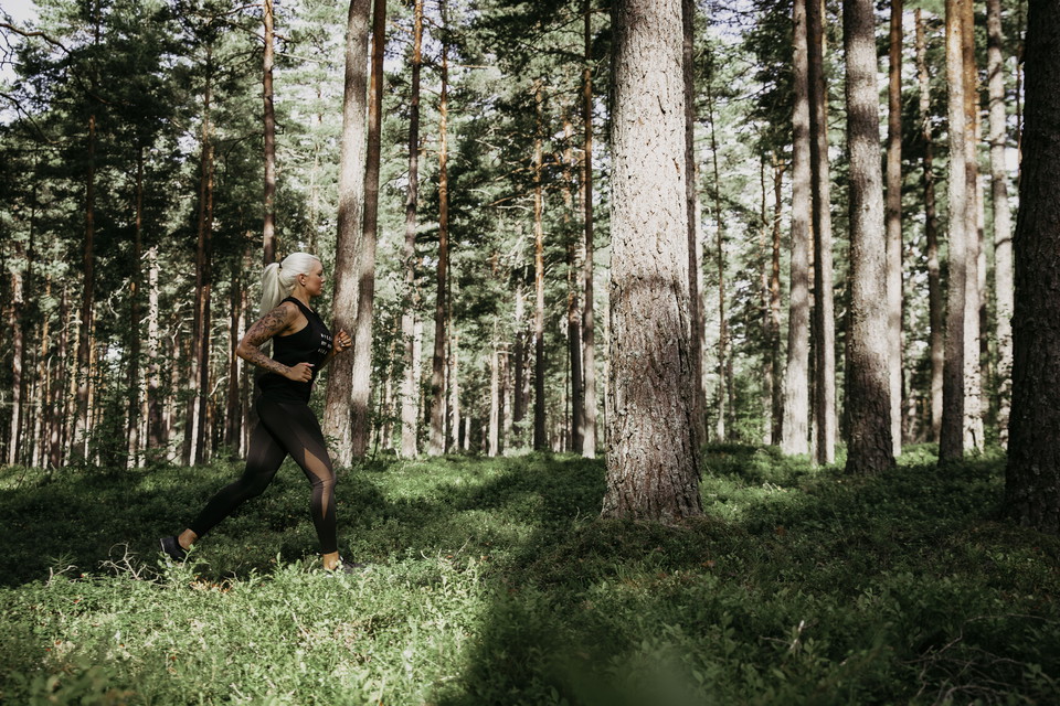 Ljungby municipality Photo