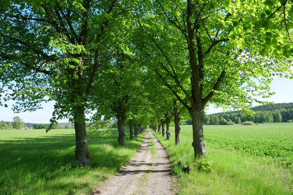 Upplands-Bro kommun Photo