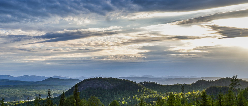 Sandvikens kommun Photo
