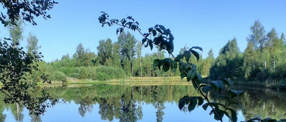 Alvesta kommun Photo